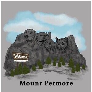 Gray T-Shirt Womens Small Mount Petmore Shirt Fitted T-Shirt S Tee Novelty A1